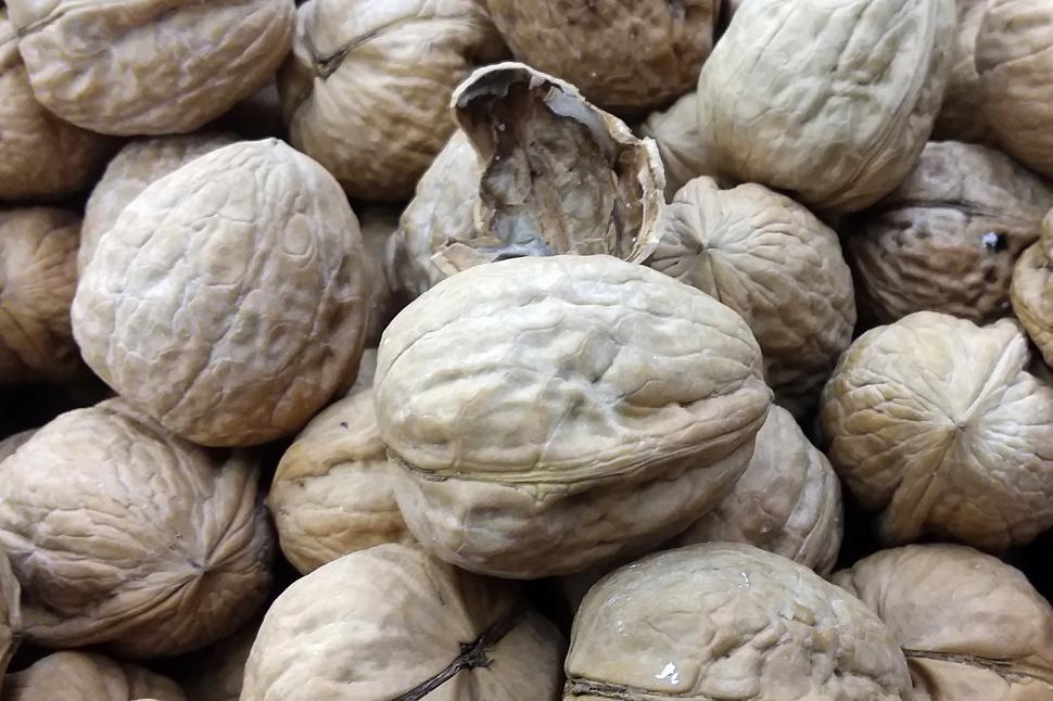 Free Image of Walnuts In Shells 