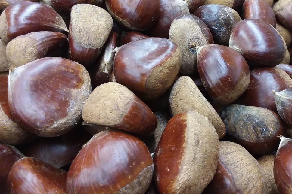 Free Image of Fresh Chestnuts 
