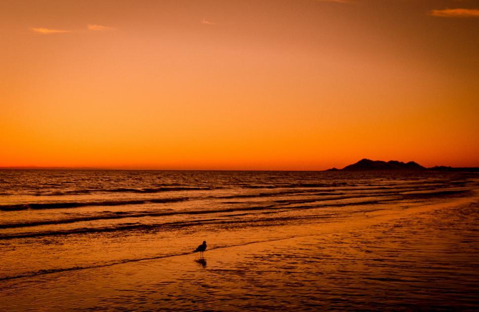 Free Image of Sunset on the Beach 