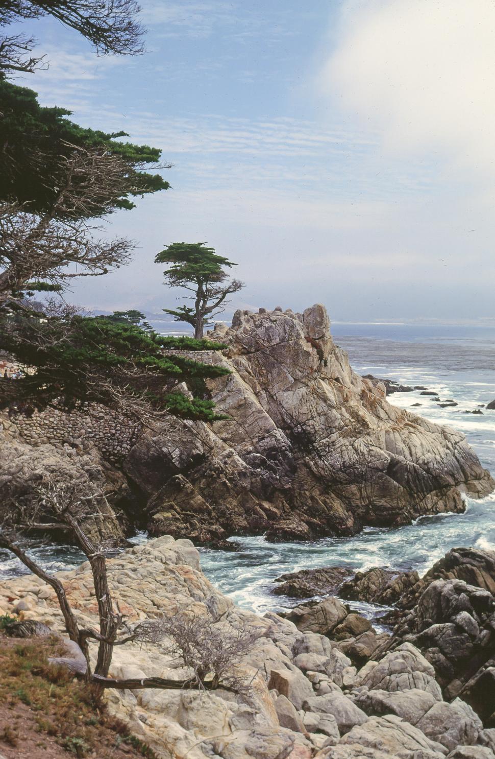 Free Image of Ocean, Trees and Rocks 