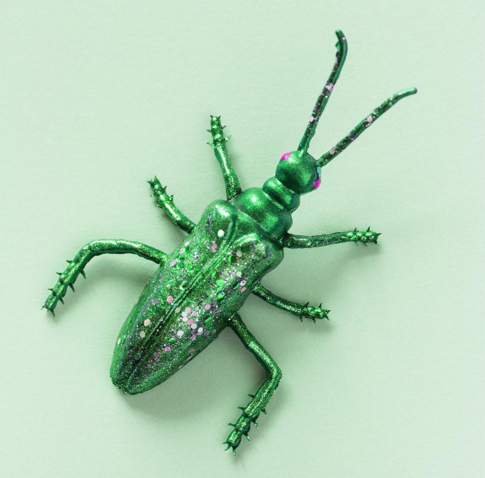 Free Image of A toy cockroach sits on green surface 