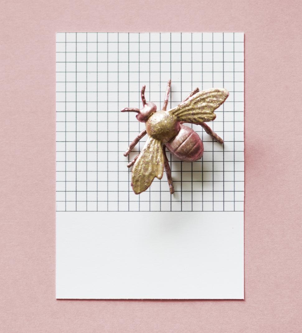 Download Free Stock Photo of Flat lay of a toy fly on a paper with black grid lines 
