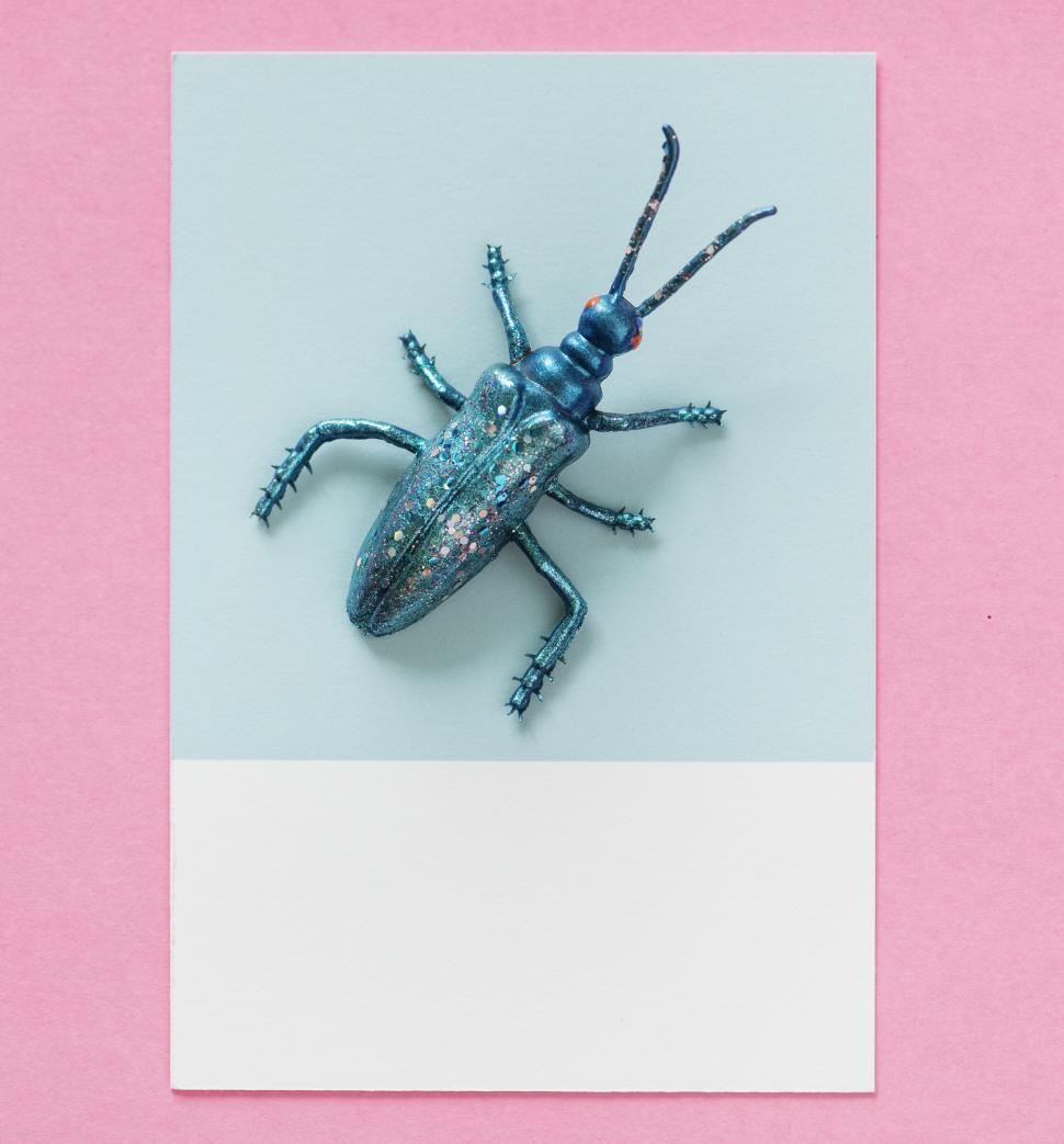 Free Image of Flay lay of a miniature toy cockroach on a spaced cardboard frame 