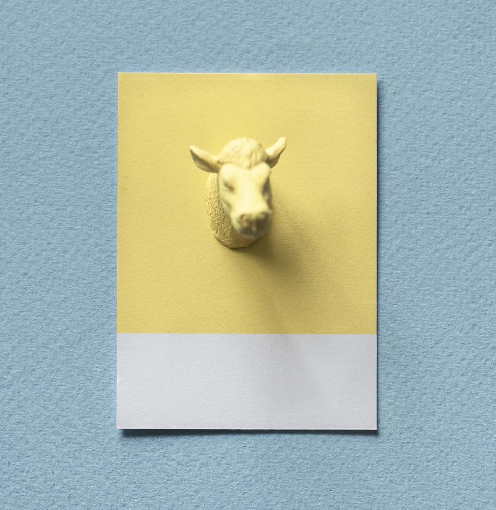 Free Image of Flay lay of a miniature toy bull s head on a spaced cardboard frame 