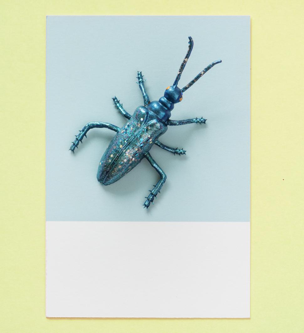 Free Image of Flay lay of a miniature toy cockroach on a spaced cardboard frame 
