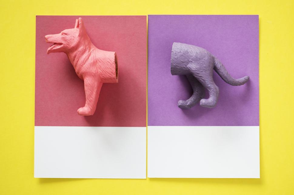 Free Image of Flay lay of a miniature toy dog s equal halves in different colors on a spaced cardboard frames 