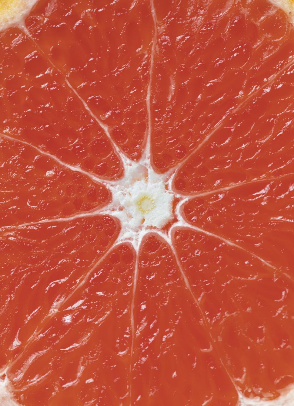 Free Image of Close up of a grapefruit slice 
