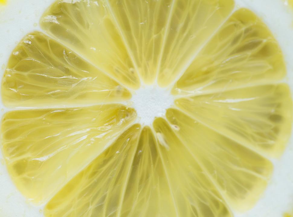 Free Image of Close up of a lemon slice 