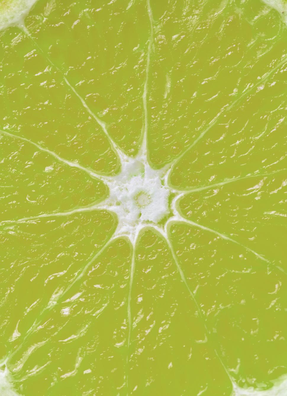 Free Image of Close up of a single citrus slice 