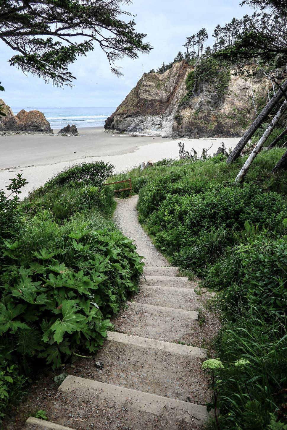 Free Image of A path to the beach 