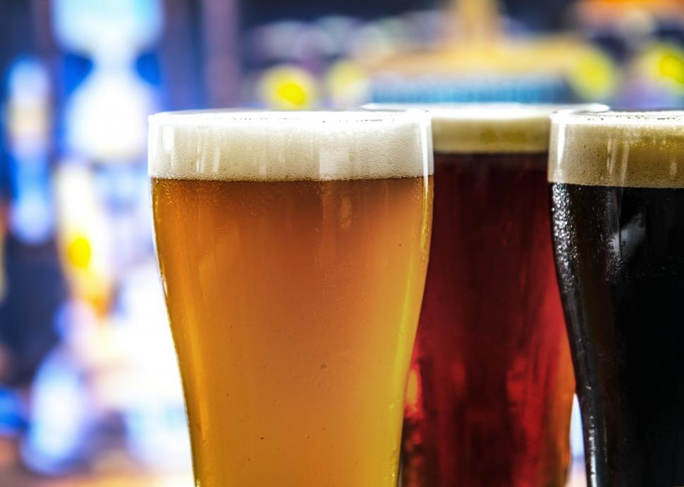 Free Image of Close up of various beers served in pint glasses 