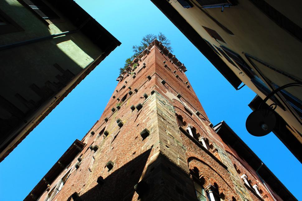 Free Image of Guinigi Tower - Lucca - Italy - Perspective From the Ground Look 