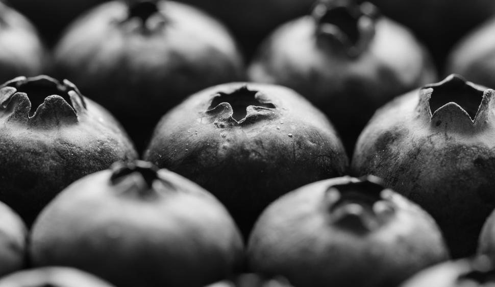 Free Image of Close up of blueberries 