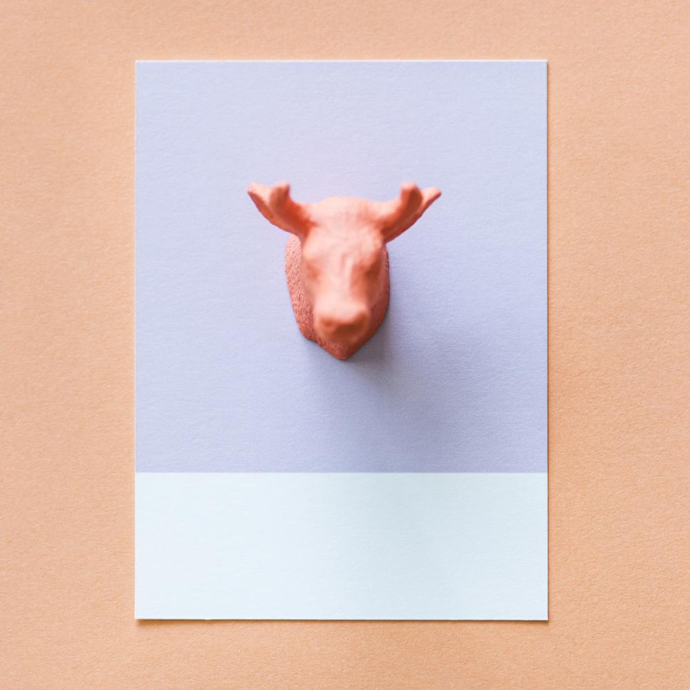 Free Image of Flay lay of a miniature toy moose s head on a spaced cardboard frame 
