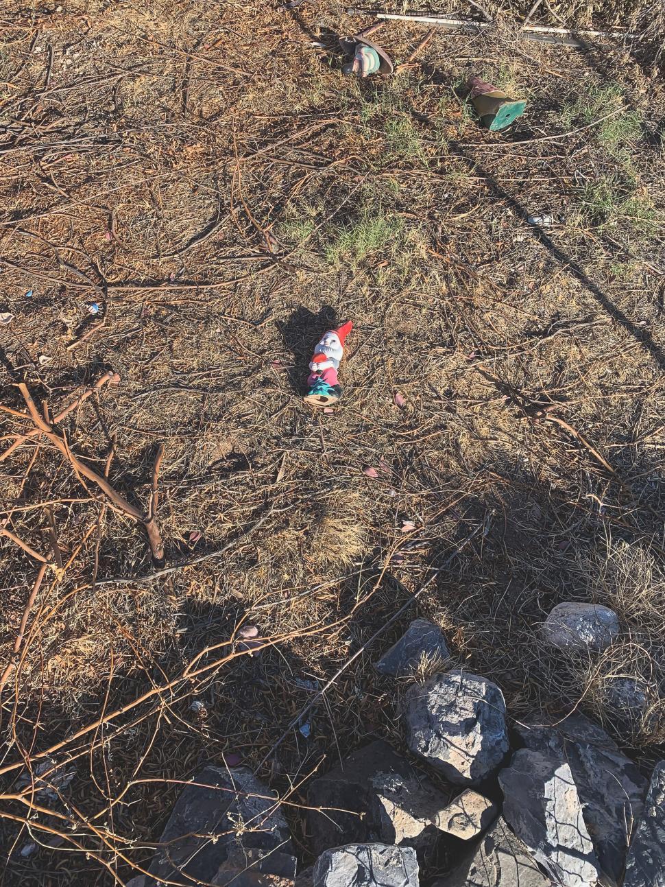 Free Image of A fallen garden gnome in the weeds 