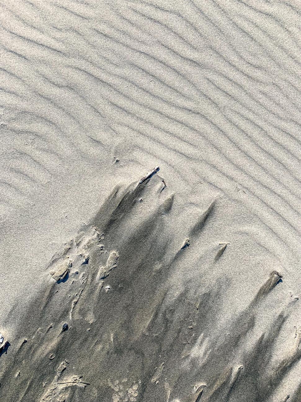 Free Image of Meeting of light Sand ripples and dark mineral sand 