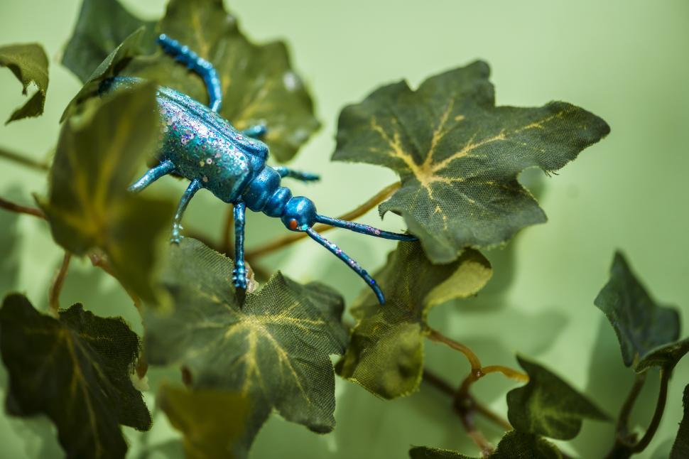 Free Image of A toy cockroach sitting on fake leaves 