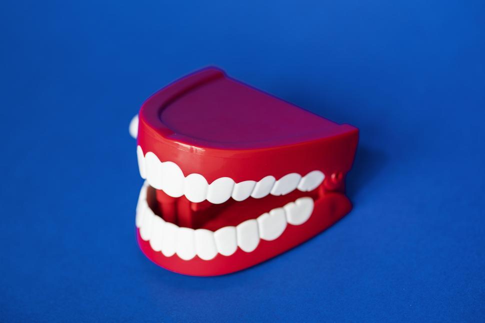 Free Image of A chattering teeth toy on blue surface 