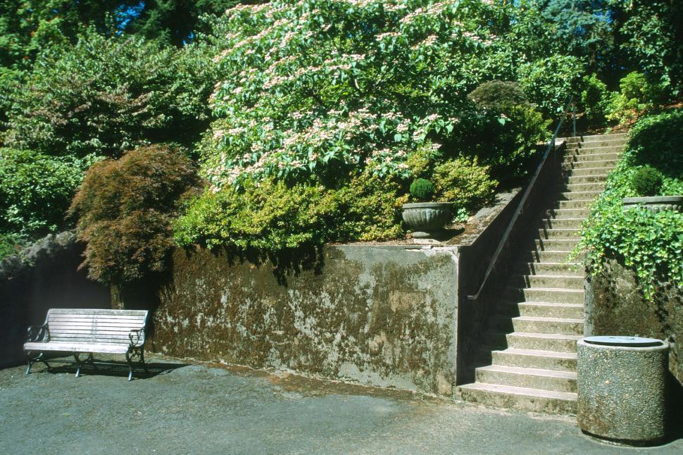 Free Image of Stairway and bench 