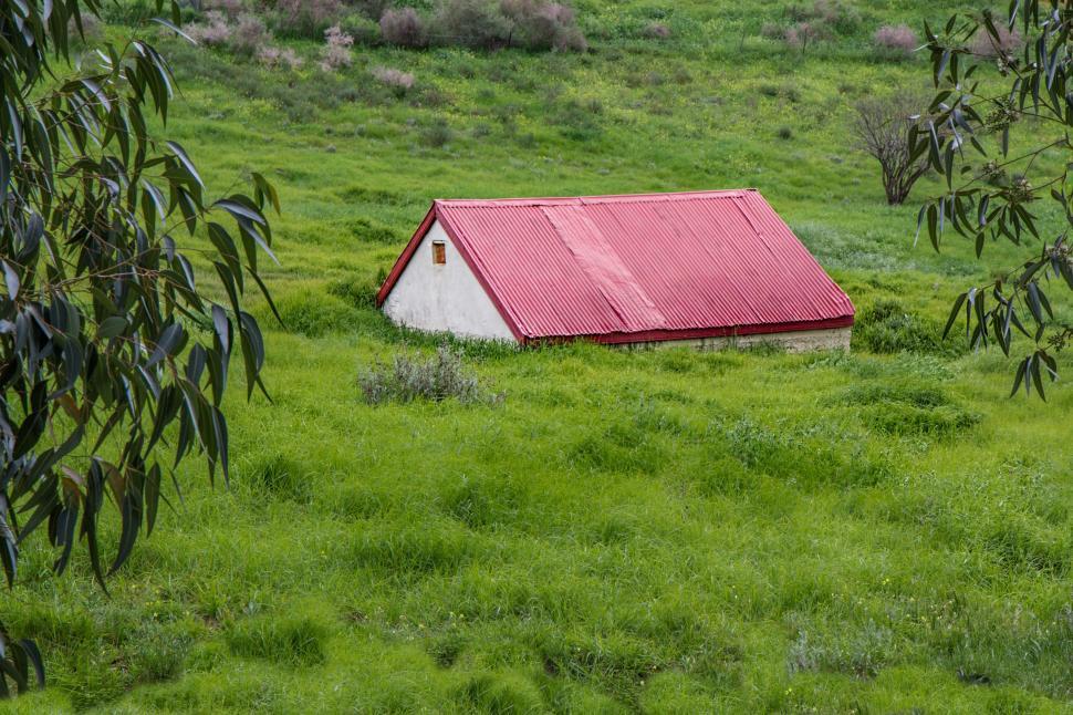 Free Image of grass overgrown green lawnmower summer rural cottage unkempt farm countryside environment outdoor peaceful red roof tranquil 