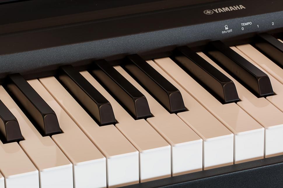 Free Image of Close Up of a Piano Keyboard With Many Keys 