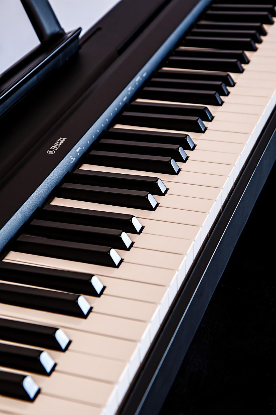 Free Image of Close Up of a Black and White Piano 