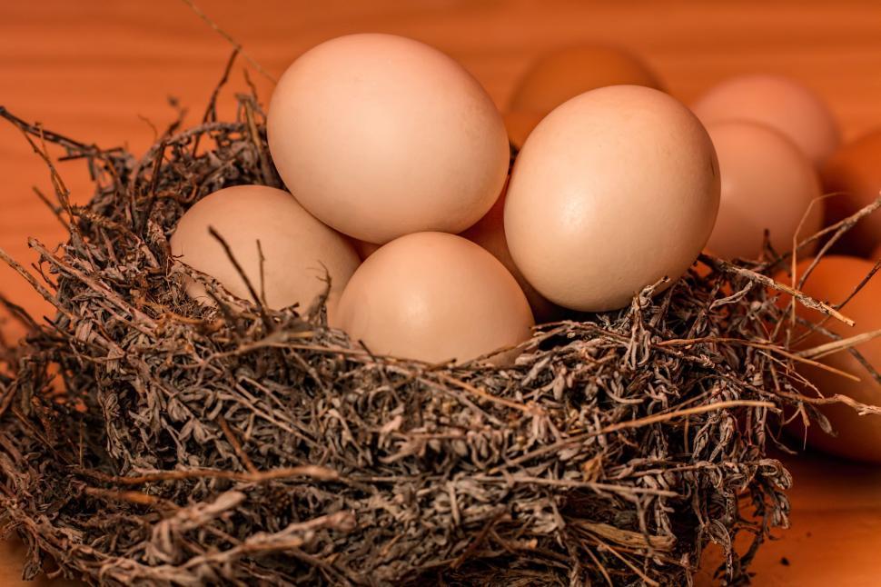 Free Image of Nest of Eggs on Wooden Table 
