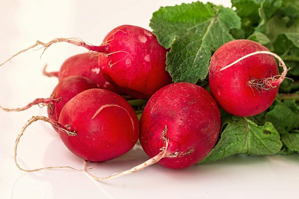 Free Image of Fresh Bunch of Red Radishes With Green Leaves 