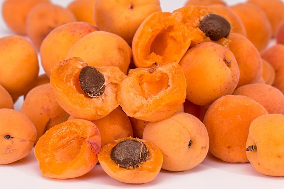 Free Image of apricots fruit pips ripe juicy fresh healthy sweet summer diet dessert 