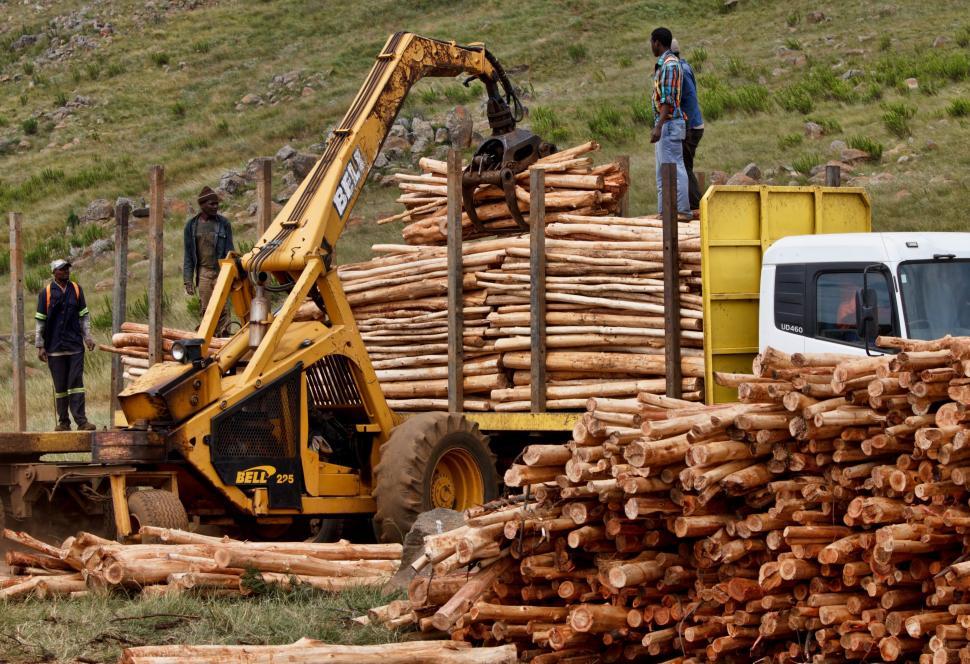 Free Image of job work logging timber wood lumber worker loading workman employment truck transportation transport laborer working 