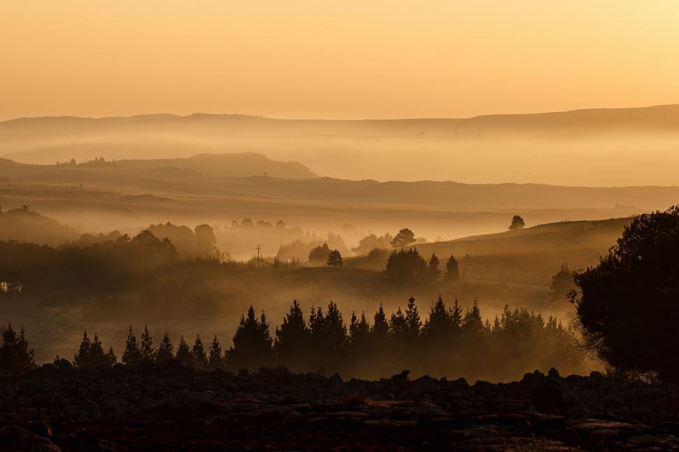 Free Image of Foggy Valley With Trees in Foreground 