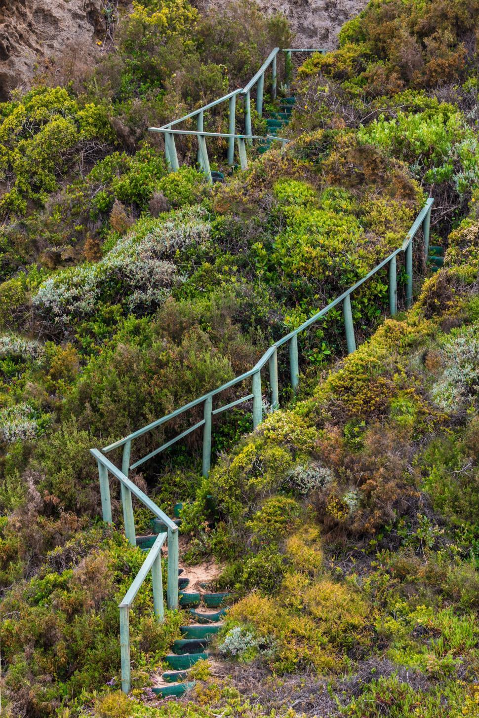 Free Image of stairway handrails steps stairs ambition bush shrubs steep rise upward future success climb achievement exercise difficult landscape inspiration 