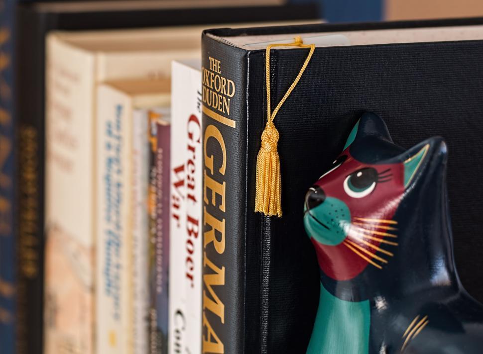 Free Image of Black Cat Figurine on Book Shelf 