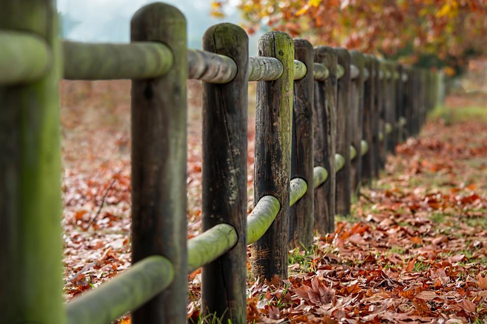 Free Image of Fence posts and Autumn Forest 