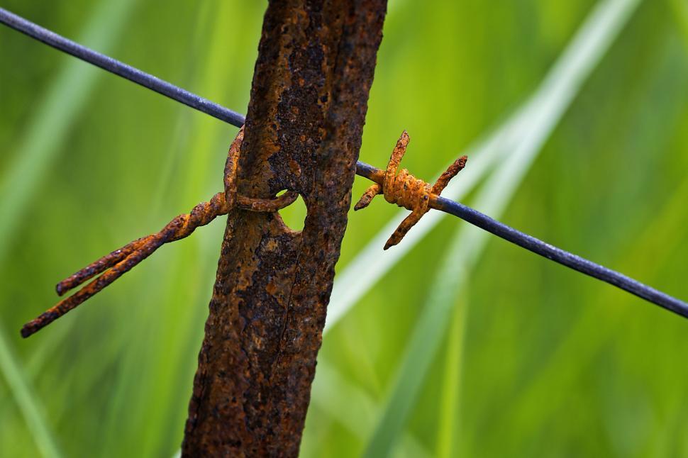 Free Image of Old Barbed Wire and Fence Post 