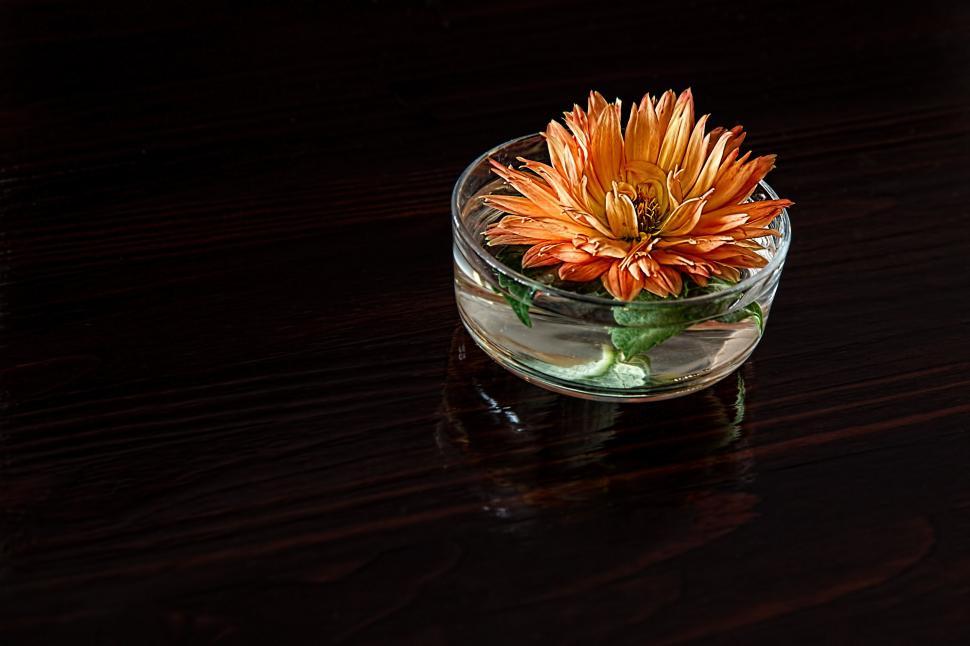 Free Image of Orange Flower in Glass Vase on Table 