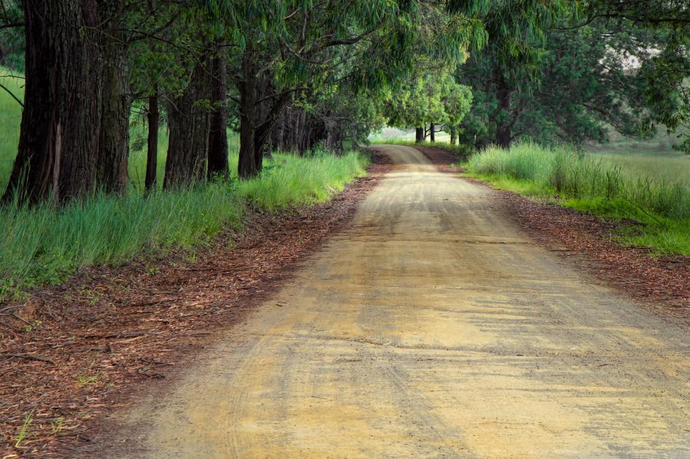Free Image of Dirt Road Surrounded by Trees and Grass 