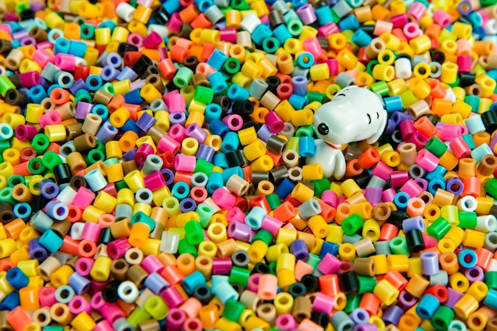Free Image of Colorful Beads Surrounding White Dog 