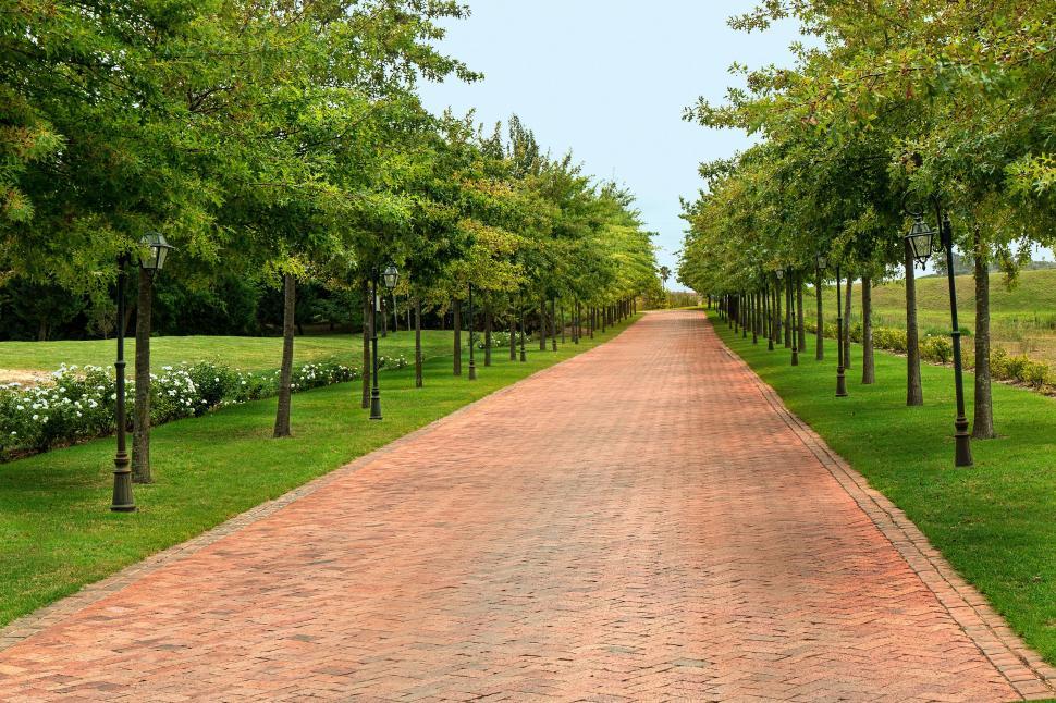 Free Image of Red Brick Road Surrounded by Trees and Grass 