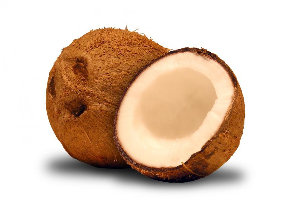 Free Image of Coconut 