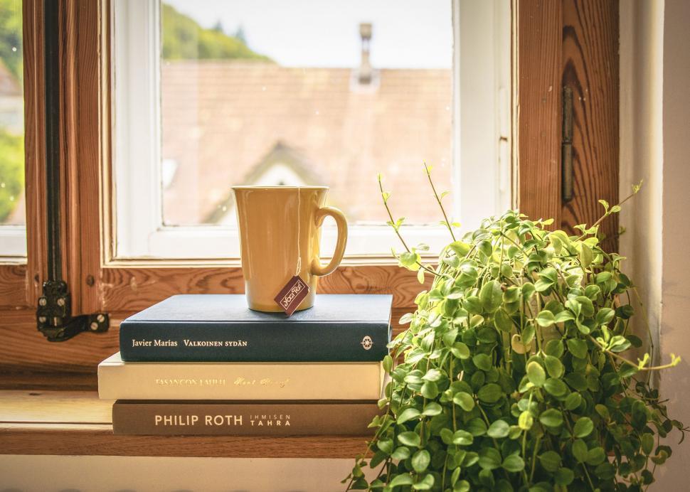 Free Image of Stack of books with houseplant  