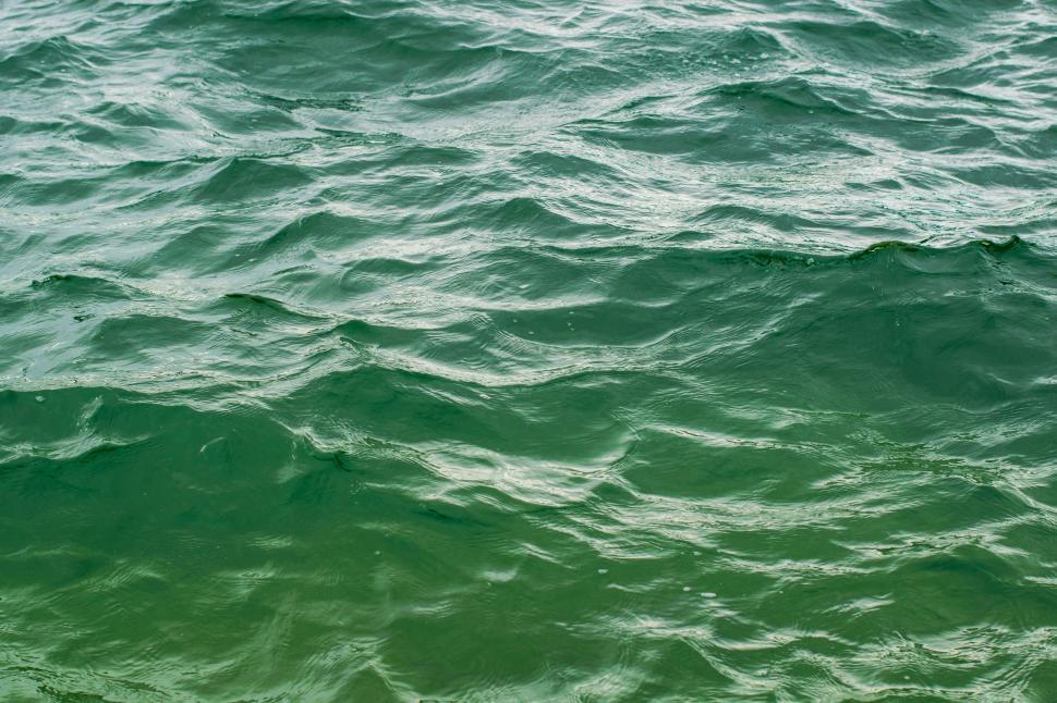 Free Image of Water Texture  