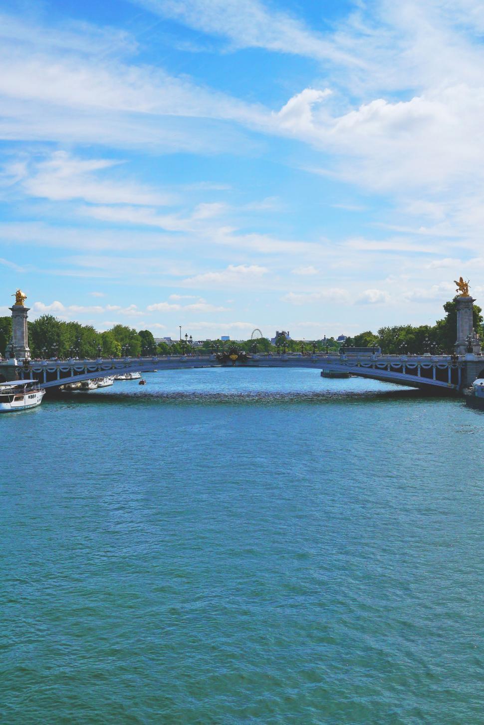 Free Image of Pont Alexandre III Bridge  
