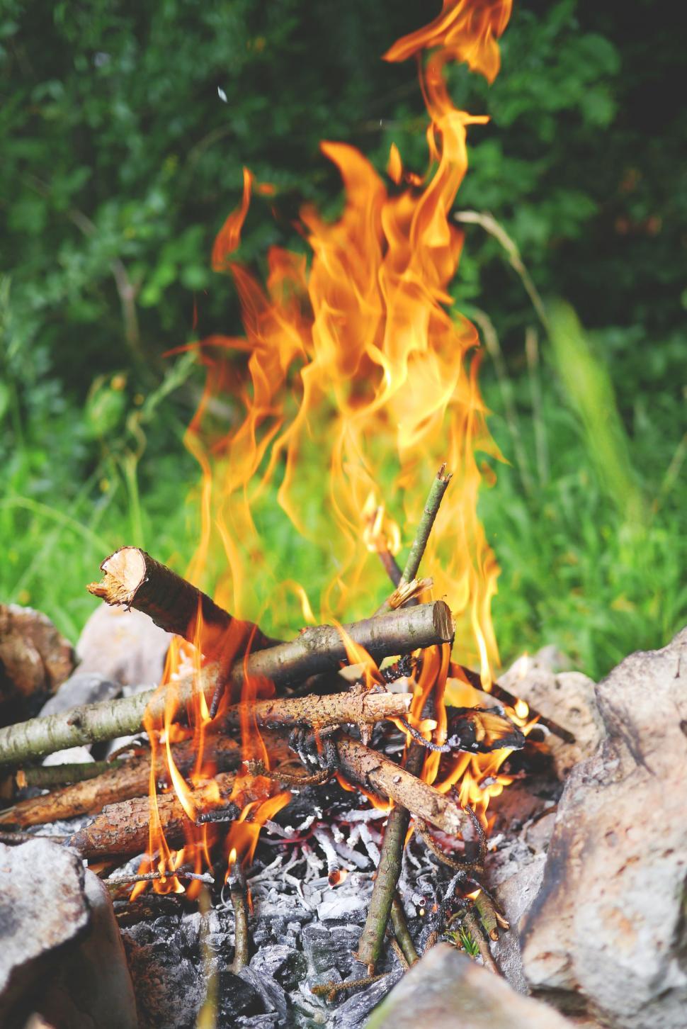 Free Image of Campfire in the forest - Daytime  