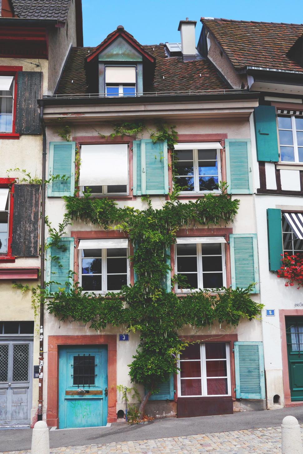 Free Image of Residential Houses with green climbing plant  