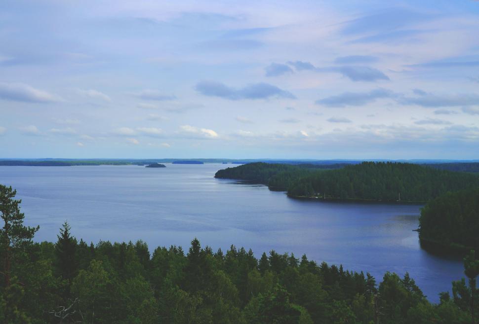 Free Image of Lake with trees and sky  
