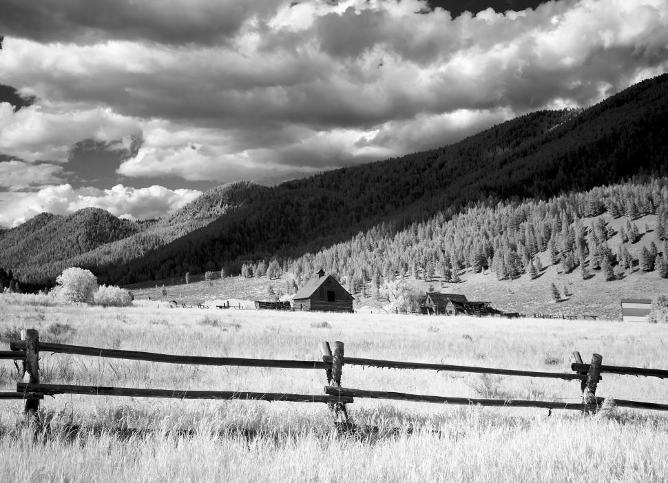 Free Image of Fence in black white  