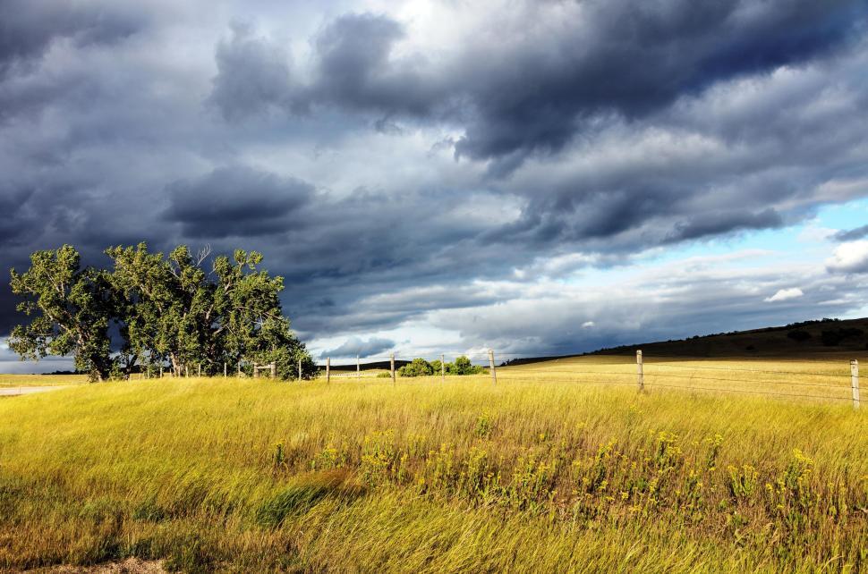 Free Image of Dark Clouds and Green Field  