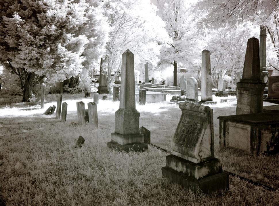 Free Image of Black and white view of graveyard  