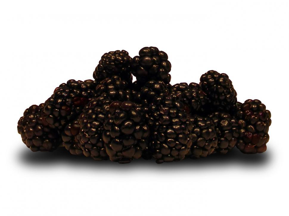 Free Image of Blackberries 